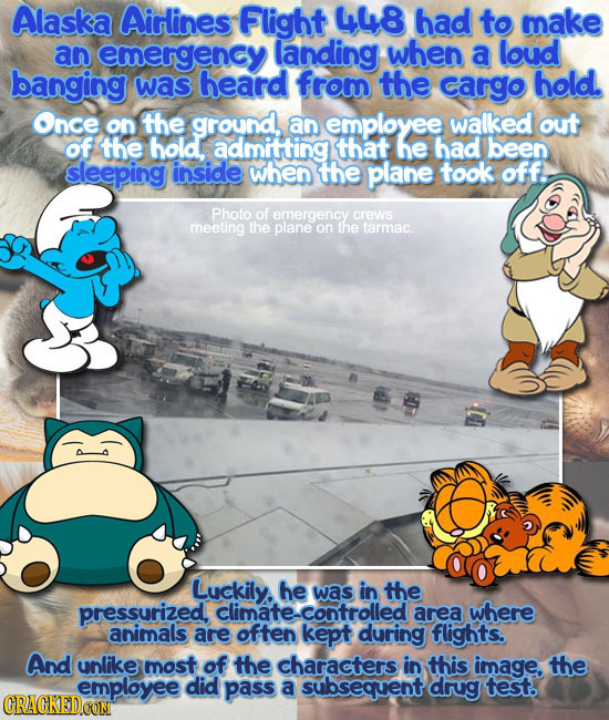 Alaska Airlines Flight 448 had to make an emergency landing when a loud banging was heard from the cargo hold. Once on the ground, an employee walked 