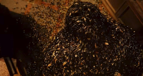 Cockroaches in The Sorcerer's Apprentice