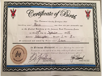 5 Secret Theme Park Hacks You're Going To Want To Try