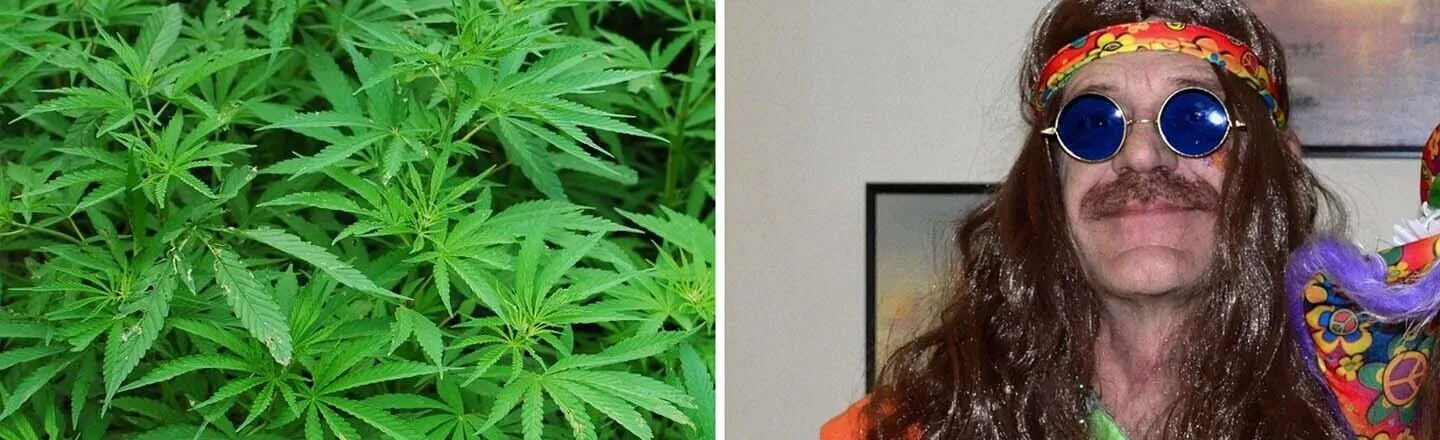 15 Incorrect Origins Of The Term 420