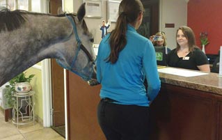 A Woman Got Her Horse Into Her Hotel Room, But Why?