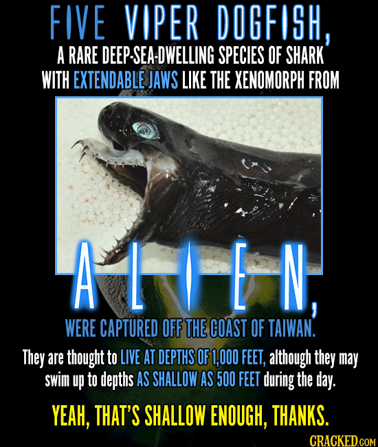 Space Cars, Xenomorphs, And Other Weird News You Missed