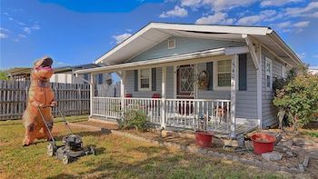 It's Been A Great Week For Weird Dinosaur News