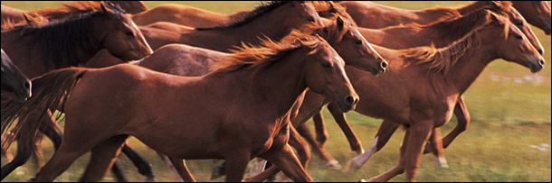 6 Prison Jobs That Are Probably Better Than Yours