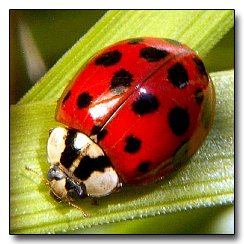 5 Insane Ways Words Can Control Your Mind