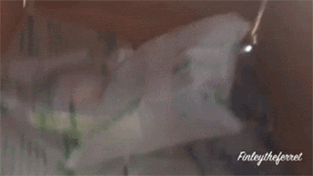 5 Reasons You Should Totally Hate Unboxing Videos