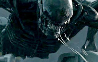 6 Things Alien Franchise Characters Do That Get Them Killed