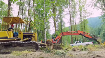 Lawyer cutting down trees