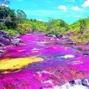 Cracked Round-Up: Sun-Eating Edition