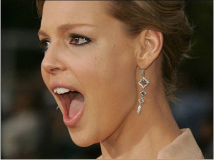 Pitching Movies to Katherine Heigl: Harder Than It Looks