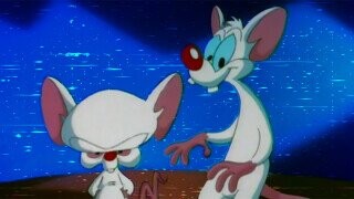 ‘NARF!’ 15 Trivia Tidbits About ‘Pinky and the Brain’