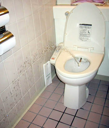 funny japan japanese lady pee standingup tv urinal weird Funny japan japanese lady pee standingup tv urinal weird