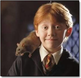 6 Horrifying Implications of the Harry Potter Universe