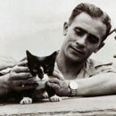 Cracked Round-Up: Happiness Week Edition