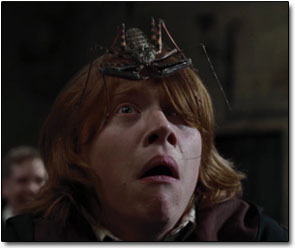 6 Horrifying Implications of the Harry Potter Universe