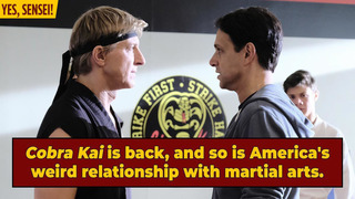 'Cobra Kai' And America's Weird Old Anti-Karate Hysteria