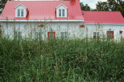 6 Ways Gardening Is Like Going to War