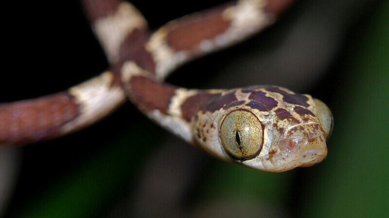 5 Silly Scenes That Show Mother Nature Is Drunk