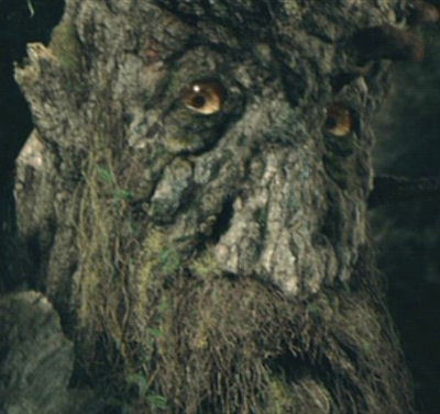 6 Ways Gardening Is Like Going to War