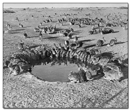 6 Real People With Secret Identities Nobody Saw Coming