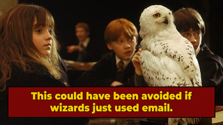 'Harry Potter' Has Been a Nightmare For Real-Life Owls