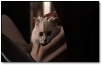 6 Real People With Secret Identities Nobody Saw Coming