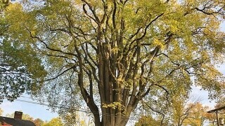 6 Ways The Recession Has Made The World Suck Less