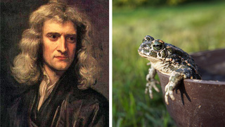 Isaac Newton's Toad Vomit Plague Serum Sold For $80Gs