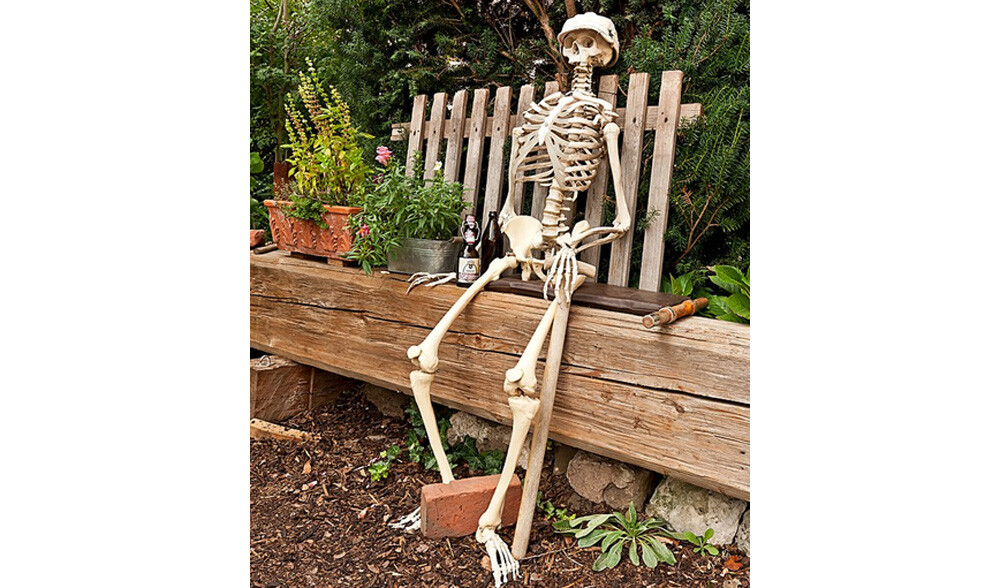 Skeleton Model in the Garden after two beers