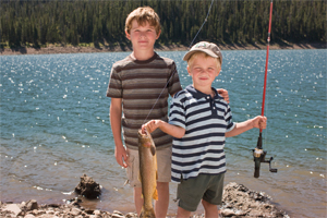 5 Laws That Made Sense on Paper (And Disasters in Reality)