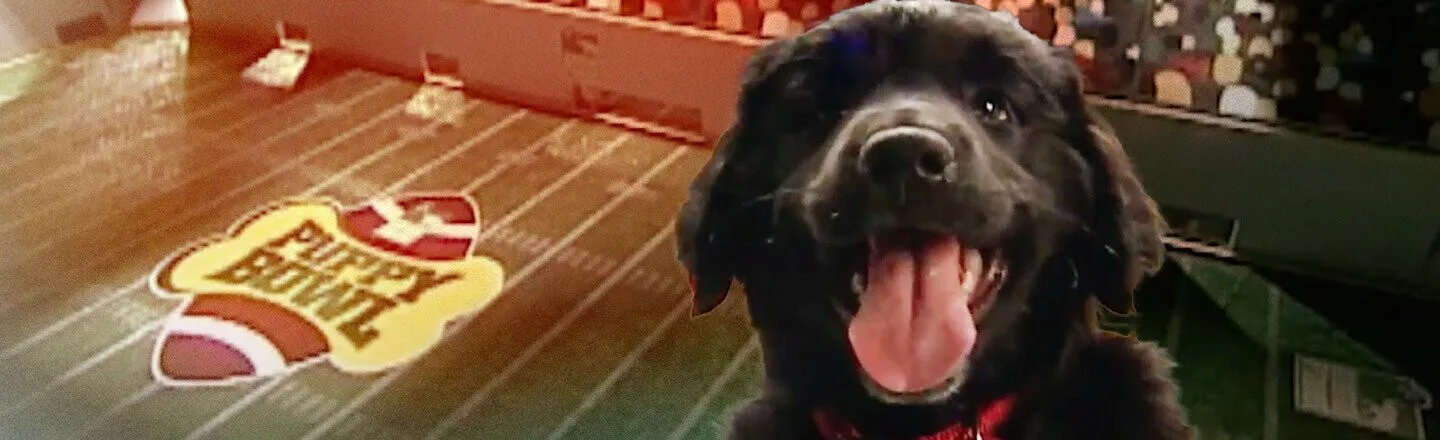 An Oral History of the First Ever Puppy Bowl