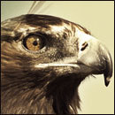 Cracked Round-Up: Hacker Drama Edition