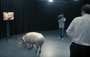 4 Ways Elections Are Even More Corrupt Than You Think