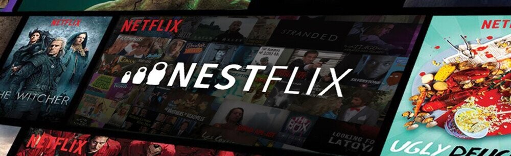 Nestflix Is The (Fake) Netflix Of (Fake) Netflix Movies