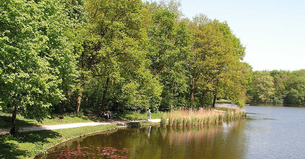Haagse Bos