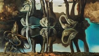 Salvador Dalí Demanded An Elephant As Payment ... And Got It