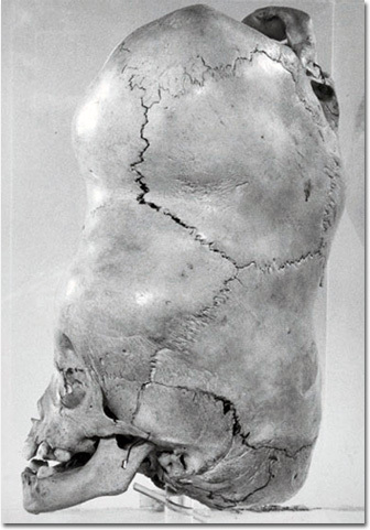 15 Mind-Blowing Old-Timey Photos You Won't Believe Are Real