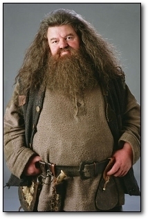 The 5 Most Depraved Sex Scenes Implied by 'Harry Potter'