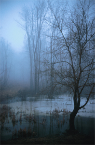 5 Reminders We Could All Use Right Now