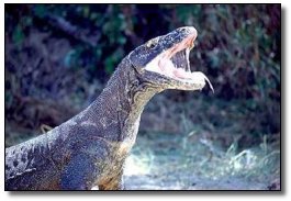 6 Movie Monsters That Just Wouldn't Work