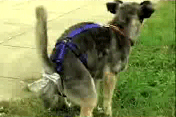 Download Https Encrypted Tbn0 Gstatic Com Images Q Tbn 3aand9gctzgxerjnxn0hpzm1ihevthde4dykzb8uqwpg Usqp Cau Free HD Get Wallpaper Https Encrypted Tbn0 Gstatic Com Images Q Tbn 3aand9gctzgxerjnxn0hpzm1ihevthde4dykzb8uqwpg Usqp Cau HD