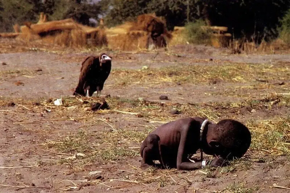 The vulture and the little girl