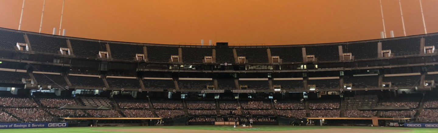 Baseball Had No Reported Homophobic Slurs This Season (Congrats?)
