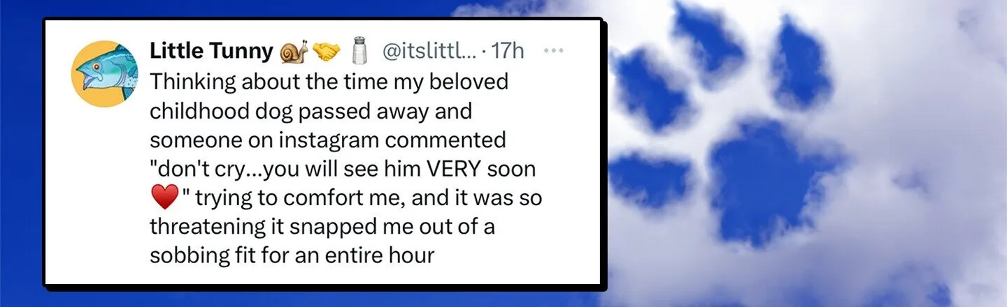 22 of the Funniest Tweets from August 10, 2023