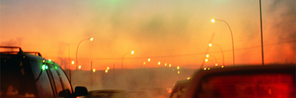 5 Laws That Made Sense on Paper (And Disasters in Reality)