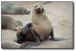 6 Movie Monsters That Just Wouldn't Work