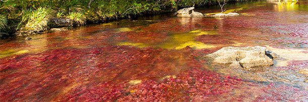 The 6 Most Awesome Special Effects Produced by Nature