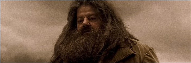 The 5 Most Depraved Sex Scenes Implied by 'Harry Potter'