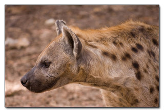 9 Famous Movie Villains Who Were Right All Along