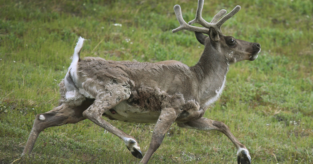 6 Crazy Facts You Didn’t Know About Famous Historical Events | Cracked.com